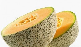 吃大量哈密瓜,畅享夏日甜蜜滋味