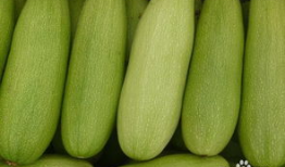 吃白瓜长大的人,一段难忘的童年回忆