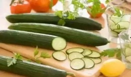 屋酱吃瓜群
