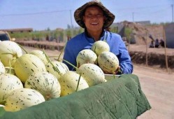 甘肃媳妇挑水吃瓜视频,见证农村生活的真实写照