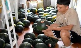 全校都在吃瓜,揭秘校园“吃瓜”盛况