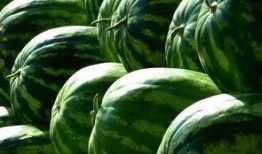 最近的吃瓜感触,揭秘近期热门吃瓜事件背后的真相