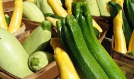 城步吃瓜,探寻瓜果飘香的田园生活