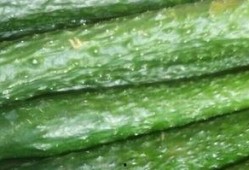 成都武侯区吃瓜,瓜果飘香，美食地图探秘