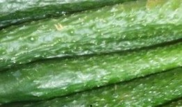 成都武侯区吃瓜,瓜果飘香，美食地图探秘