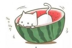 看球赛吃瓜,品瓜香，尽享激情盛宴