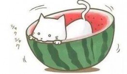 看球赛吃瓜,品瓜香，尽享激情盛宴