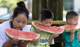 长兴和平镇吃瓜,瓜果飘香，品味田园生活