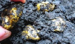 晚上户外吃瓜,户外吃瓜的悠闲时光