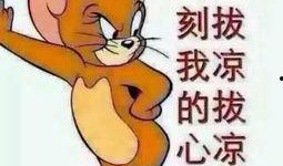 吃瓜群众照片可爱图,吃瓜群众可爱瞬间大盘点