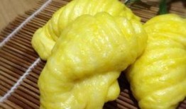 吃瓜的海螺小说,一场奇幻的海洋冒险之旅