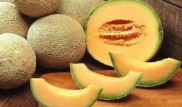 爱上吃哈密瓜,一场味蕾的浪漫之旅