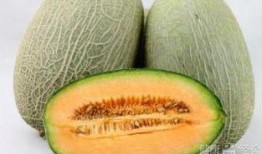 吃哈密瓜方法,解锁夏日清新美味