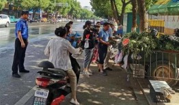 吃瓜群众违规,揭秘网络舆论场的“瓜田李下”