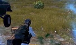 吃瓜战场,揭秘娱乐圈幕后风云