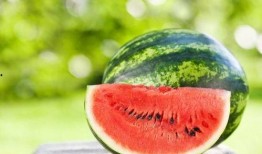 芯动基地吃瓜,揭秘科技园区里的“吃瓜”风云