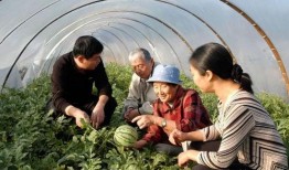 吃瓜老太爷,揭秘娱乐圈幕后风云