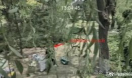 隐藏吃瓜剧情,隐藏吃瓜剧情大揭秘