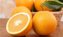 小说半橙吃瓜,揭秘网络世界的酸甜苦辣