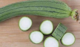 吃瓜鼻炎就犯了,揭秘饮食与健康的关系