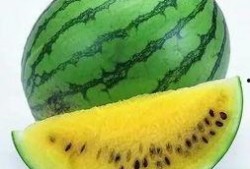 吃瓜别忘卖瓜人,人生哲理与智慧