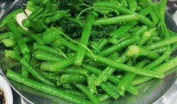 广西玉林吃瓜视频,吃瓜视频背后的美食风情