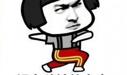 请叫我吃辣瓜