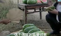 吃瓜的苍爹,吃瓜群众眼中的苍爹风云录