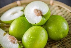 程女士吃瓜资源,吃瓜界的幕后故事