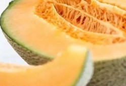 黄金蜜瓜如何吃,解锁夏日清新美味的多重吃法