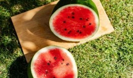 吃瓜一夏,一场视觉与味蕾的双重盛宴