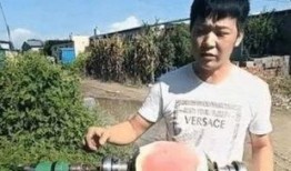 电钻吃瓜,揭秘新型创意烹饪潮流