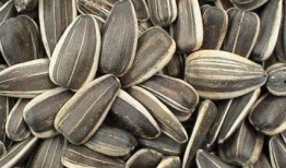 吃瓜吃籽儿好不好,健康与口感的双重享受