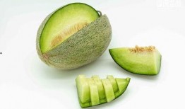 吃瓜艺术照片,吃瓜艺术照片背后的趣味解读