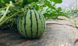 列表吃瓜,盘点娱乐圈最新热点事件