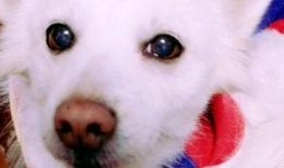 吃瓜声声,揭秘娱乐圈的幕后故事