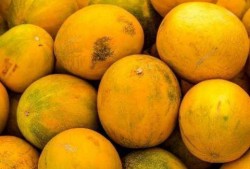 梦见摘熟瓜吃,揭秘摘熟瓜吃的神秘寓意