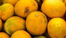 梦见摘熟瓜吃,揭秘摘熟瓜吃的神秘寓意