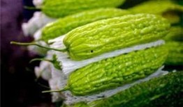 苏瓜孕妇可以吃,苏瓜孕妇的饮食选择与建议