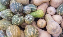 吃瓜盘串,吃瓜盘串背后的明星秘闻