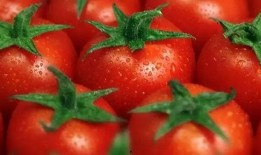 娱乐吃瓜酱西红柿