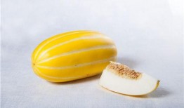 甜蜜吃瓜是什么生肖