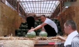 上班吃瓜现场,揭秘职场八卦背后的真相