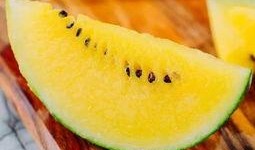 小瓜心怎样吃,解锁多种美味吃法