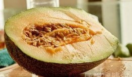 吃大量哈密瓜,畅享夏日甜蜜滋味