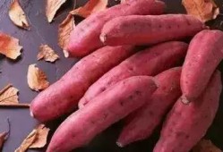 地瓜能和面瓜在一起吃吗,健康美味两不误