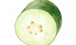 吃白瓜长大的人,一段难忘的童年回忆