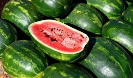 吃瓜 学习资料,揭秘网络热议背后的真相与启示