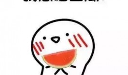 吃瓜看我个签,吃瓜群众视角下的娱乐圈风云录