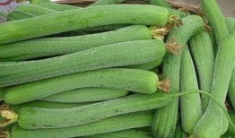 喜欢吃瓜的吃瓜,揭秘那些让人欲罢不能的瓜味美食